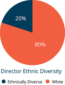 [MISSING IMAGE: pc_ethnic-pn.jpg]